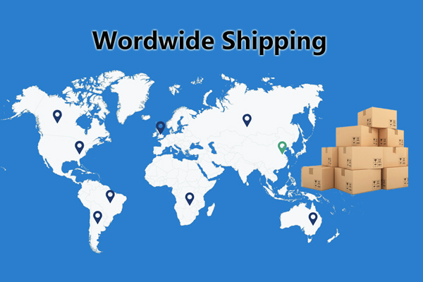 leen security seals worldwide shipping