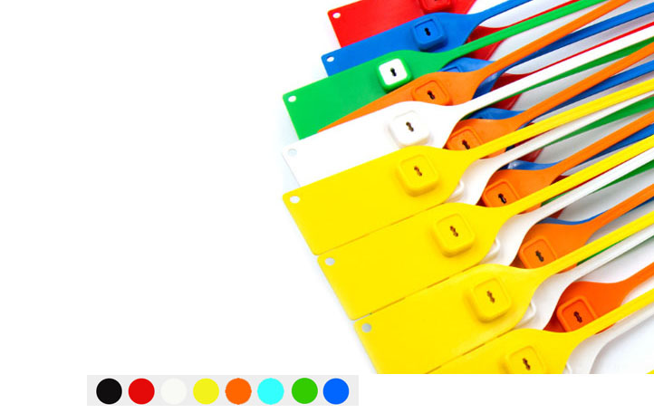 Colorful Seals