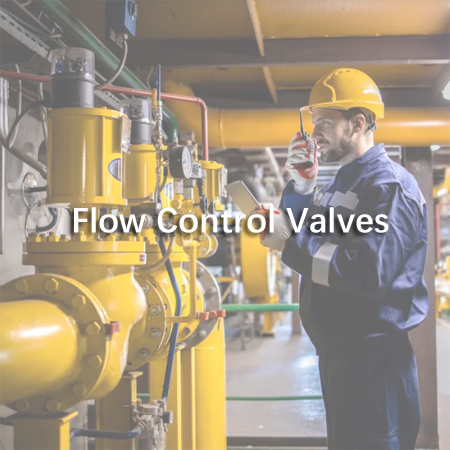 Flow Control Valve Seal