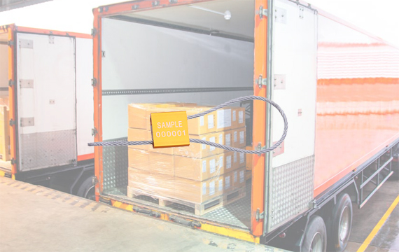 AAC300-Cable Seal For Container1