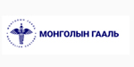 mongolia customs