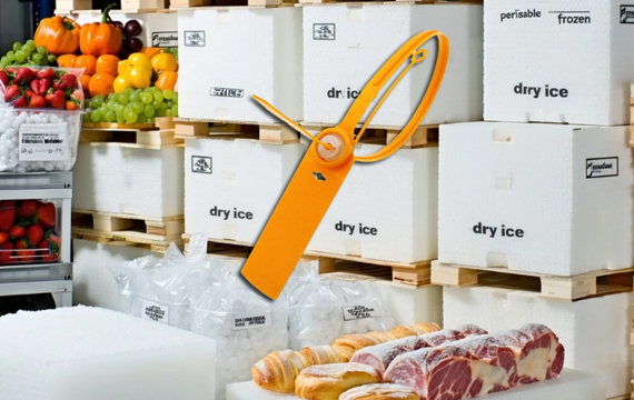 frozen shipping container Seal Tags